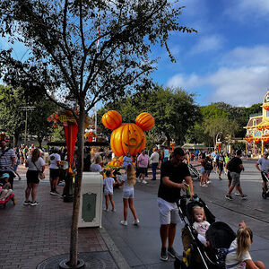 Meet your Posher, Alysia